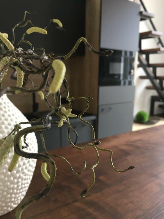 Goodmood Apartment Дебрецен Екстер'єр фото